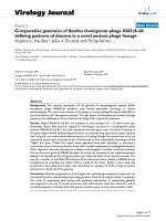 Báo cáo sinh học: 