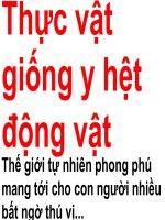 Bài giảng điện tử môn sinh học: thực vật giống động vật pot