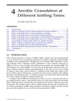 Wastewater Purification: Aerobic Granulation in Sequencing Batch Reactors - Chapter 4 ppt