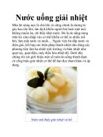 Nước uống giải nhiệt pptx