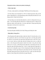 Cấp phép lưu hành xe bánh xích tự hành trên đường bộ ppt