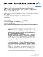 báo cáo hóa học: