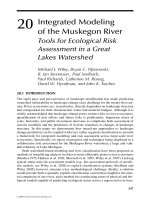 WETLAND AND WATER RESOURCE MODELING AND ASSESSMENT: A Watershed Perspective - Chapter 20 pptx
