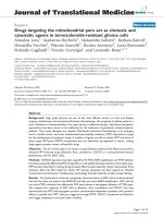 báo cáo hóa học: