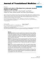 báo cáo hóa học: