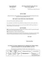 Quyết định số 2771/QĐ-CT docx