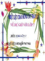 Bài giảng điện tử môn sinh học: loài châu chấu_3 pdf