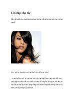 Lời đáp cho tóc ppt