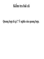 Bài giảng điện tử môn sinh học: nước ở rễ cây potx
