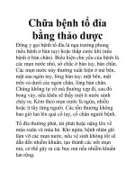 Chữa bệnh tổ đỉa bằng thảo dược docx