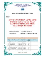 Xây dựng chiến lược kinh doanh công ty cổ phần tập đoàn mai linh (MLG) giai đoạn 2010 2020