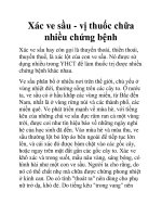 Xác ve sầu - vị thuốc chữa nhiều chứng bệnh pdf