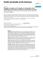 báo cáo hóa học: 