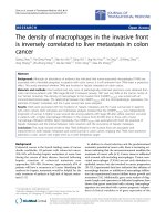 Báo cáo hóa học: 