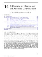 Wastewater Purification: Aerobic Granulation in Sequencing Batch Reactors - Chapter 14 doc