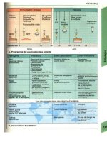 Atlas de poche d immunologie - part 9 potx