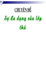 Giáo án điện tử môn môn sinh học: sự đa dạng của lớp thú pdf