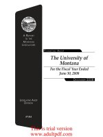 A Component Unit of the State of Montana Consolidated Statements of Net Assets_part1 doc