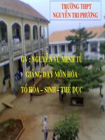 Bài giảng điện tử môn hóa học: Kim loại kiềm thổ doc