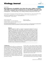 Báo cáo sinh học: 