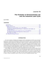 Heavy Metals in the Environment: Using Wetlands for Their Removal - Chapter 13 pptx