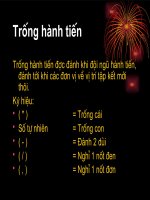 Trống quy định trong Nghi thức đội chuẩn