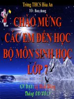 Giáo án điện tử môn môn sinh học: bộ linh trưởng potx