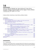 ENVIRONMENTAL RESTORATION of METALSCONTAMINATED SOILS - CHAPTER 14 (end) potx