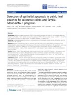 Báo cáo hóa học: 