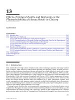 ENVIRONMENTAL RESTORATION of METALSCONTAMINATED SOILS - CHAPTER 13 potx