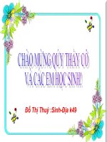 Giáo án điện tử môn môn sinh học: sự đa dạng của lớp thú pptx