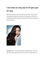 Cách chăm sóc từng loại tóc để ngăn ngừa tóc rụng potx