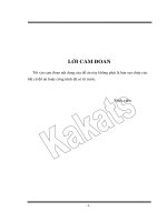 nghiên cứu nâng cao chất lượng tuyên thông tin sợi quang wdm xuyên biển sử dụng hfa