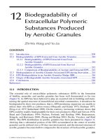 Wastewater Purification: Aerobic Granulation in Sequencing Batch Reactors - Chapter 12 pptx