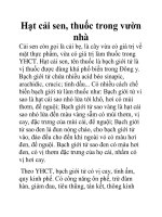 Hạt cải sen, thuốc trong vườn nhà doc