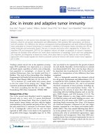 Báo cáo hóa học: 