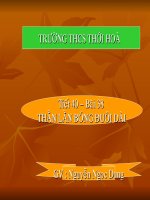 Giáo án điện tử môn môn sinh học: thằn lằn đuôi dài pdf