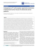 Báo cáo hóa học: 