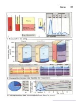Atlas de poche de physiologie - part 3 potx