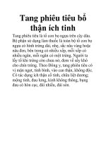 Tang phiêu tiêu bổ thận ích tinh potx