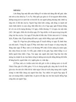 VAN HOA VAN MINH NGA pot