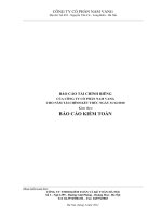 Báo cáo tài chính công ty cổ phần Nam Vang_Năm tài chính kết thúc ngày 31 tháng 12 năm 2010 ppt