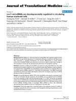 báo cáo hóa học: