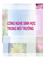 bài giảng công nghệ chương 7 công nghệ sinh học trong môi trường