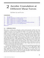 Wastewater Purification: Aerobic Granulation in Sequencing Batch Reactors - Chapter 2 pptx