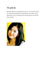 Tóc giản dị pot