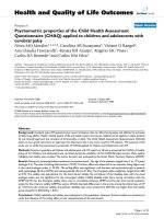 báo cáo hóa học: 