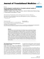 báo cáo hóa học: