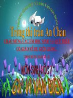 Bài giảng điện tử môn sinh học: Đặc điểm của tôm sông pot