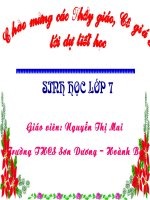 Giáo án điện tử môn môn sinh học: Ôn tập sinh học lớp 7 docx